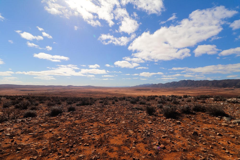 a dirt field in the middle of a desert