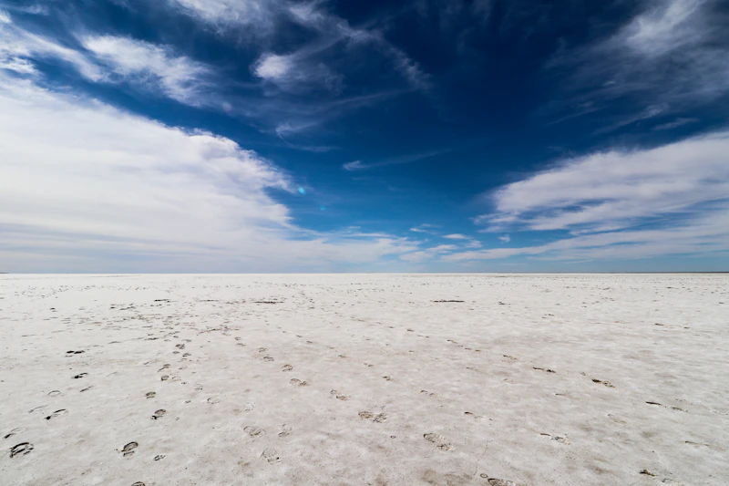 Kati Thanda–Lake Eyre Tours