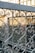 Intricate wrought iron railing with scrolling patterns and heart motifs, set against a blurred background of a glass and metal structure.