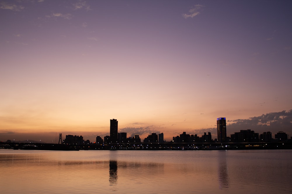 a large body of water with a city in the background