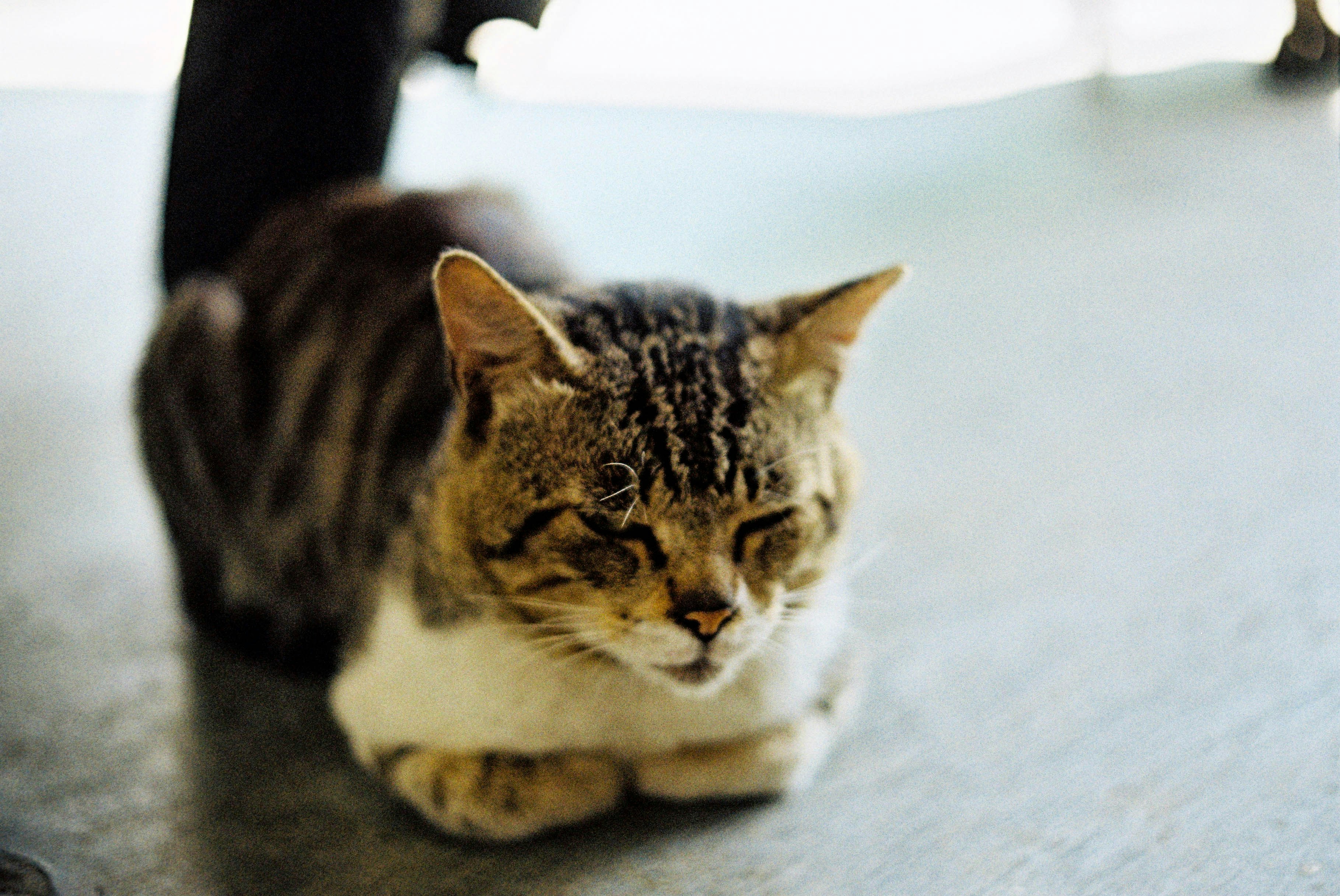 Photo by yudhaprilian