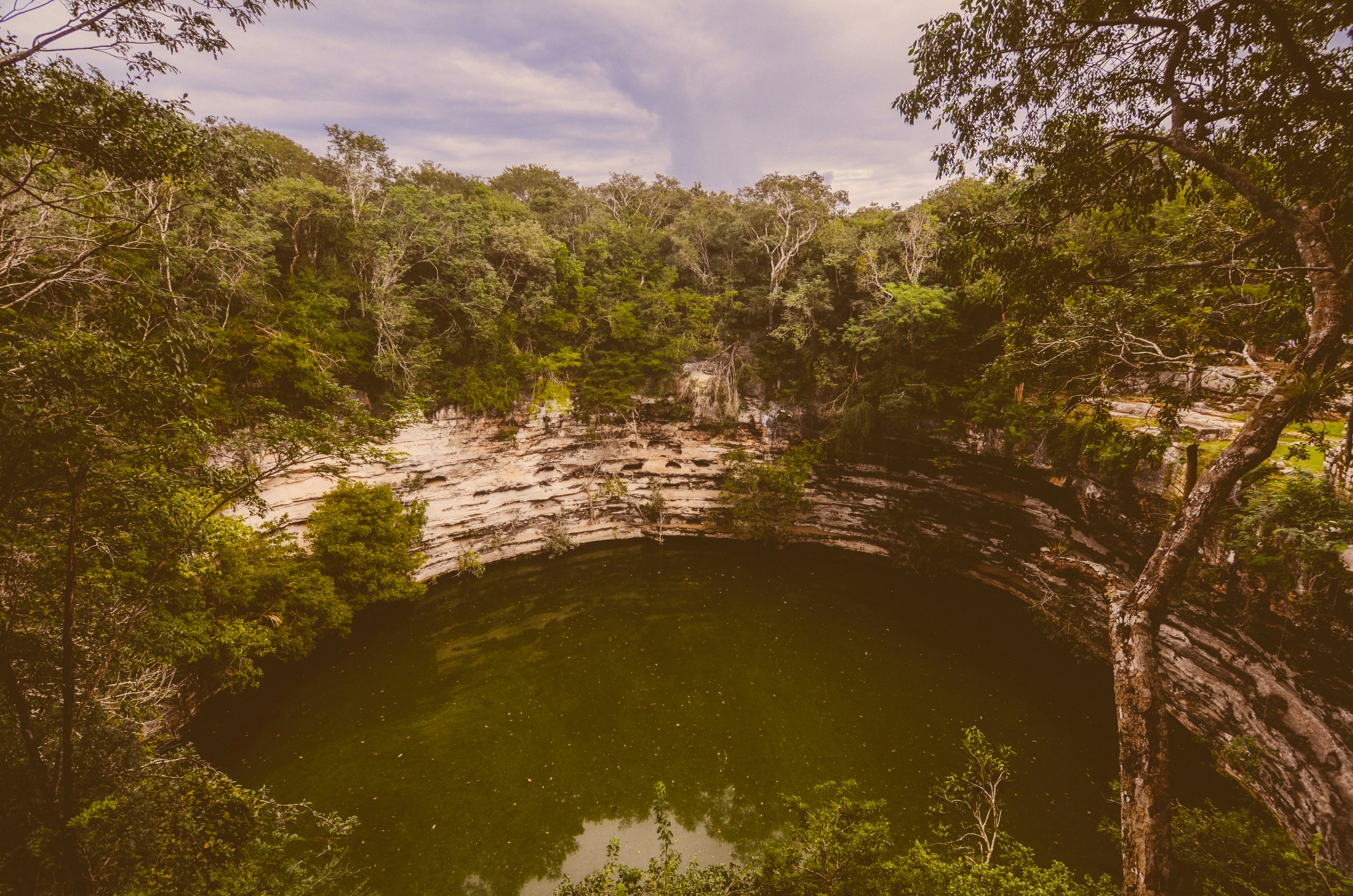 a large pond surrounded by trees and rocks, 