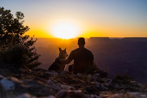a man and his dog sitting on a cliff at sunset
