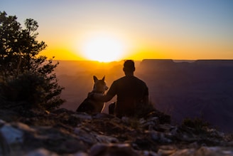 a man and his dog sitting on a cliff at sunset
