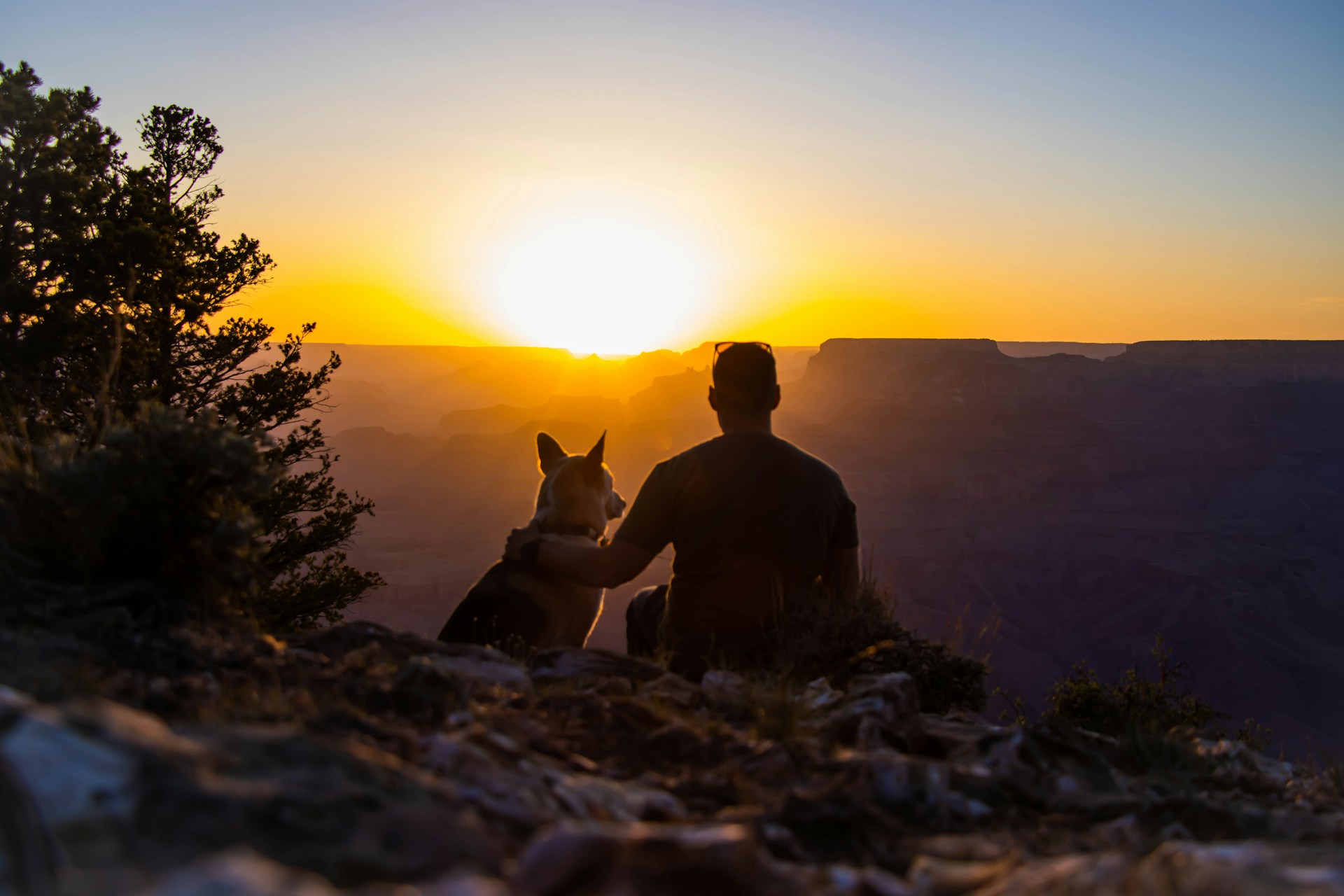 a man and his dog sitting on a cliff at sunset