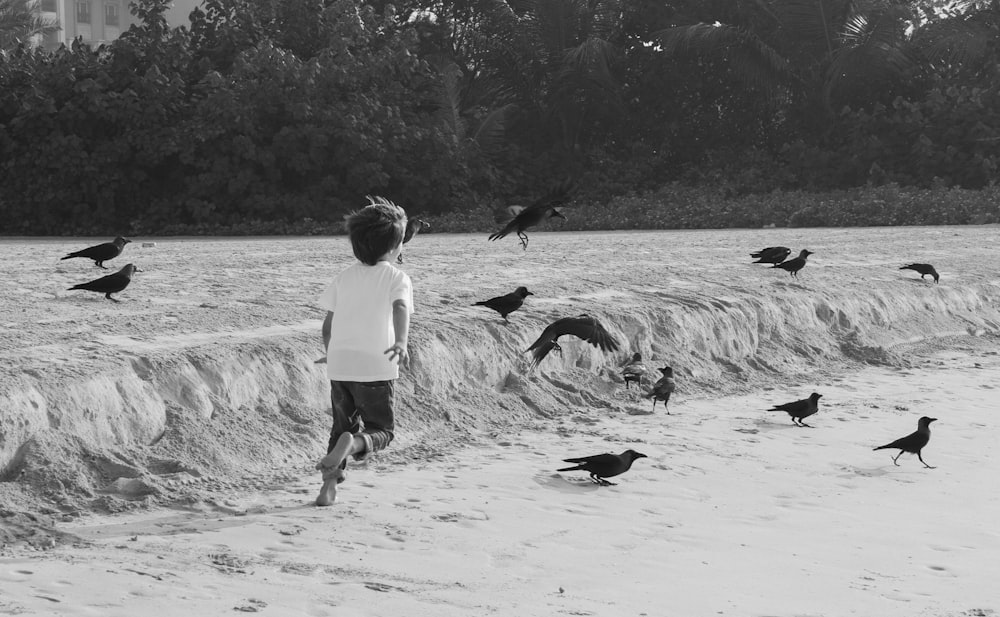 a young boy standing on top of a beach next to a flock of birds
