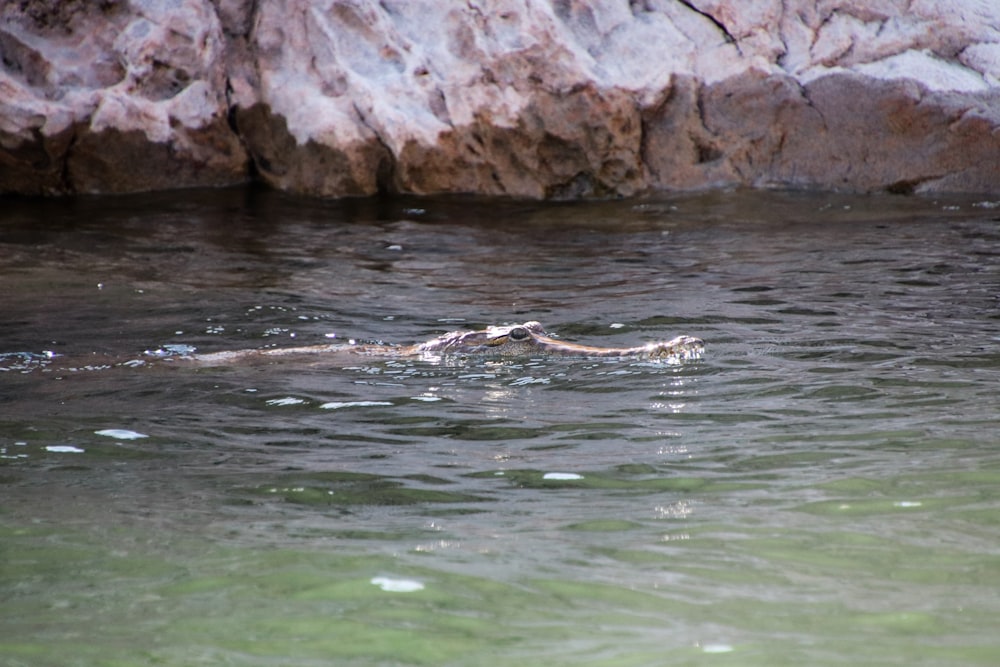 a body of water with rocks in the background