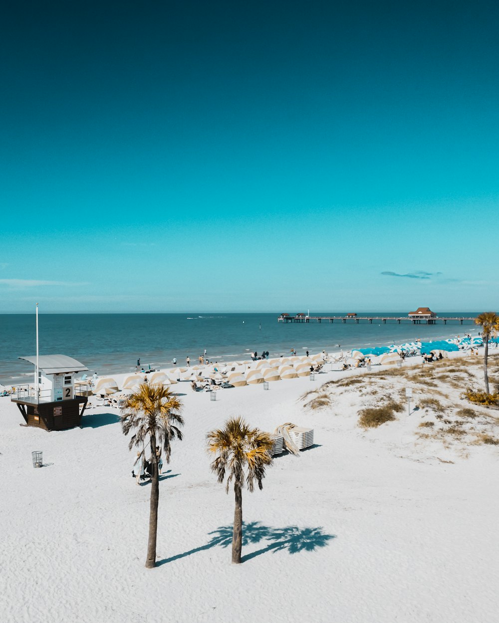 a beach with palm trees and a pier in the distance