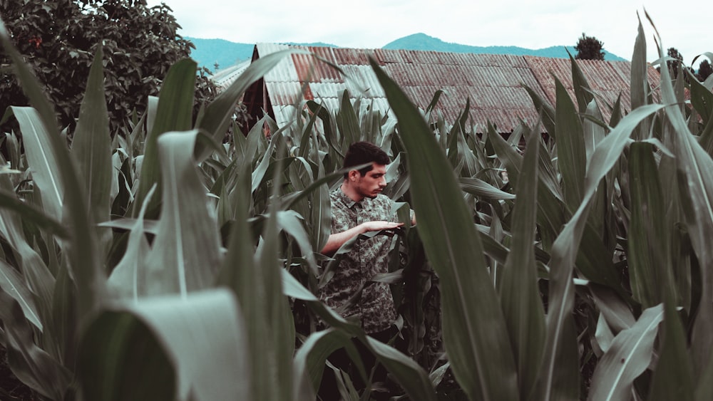 Un uomo in piedi in un campo di grano