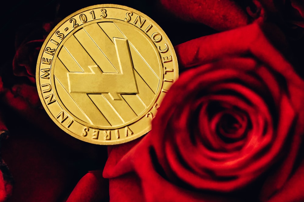 a close up of a gold coin with a rose in the background