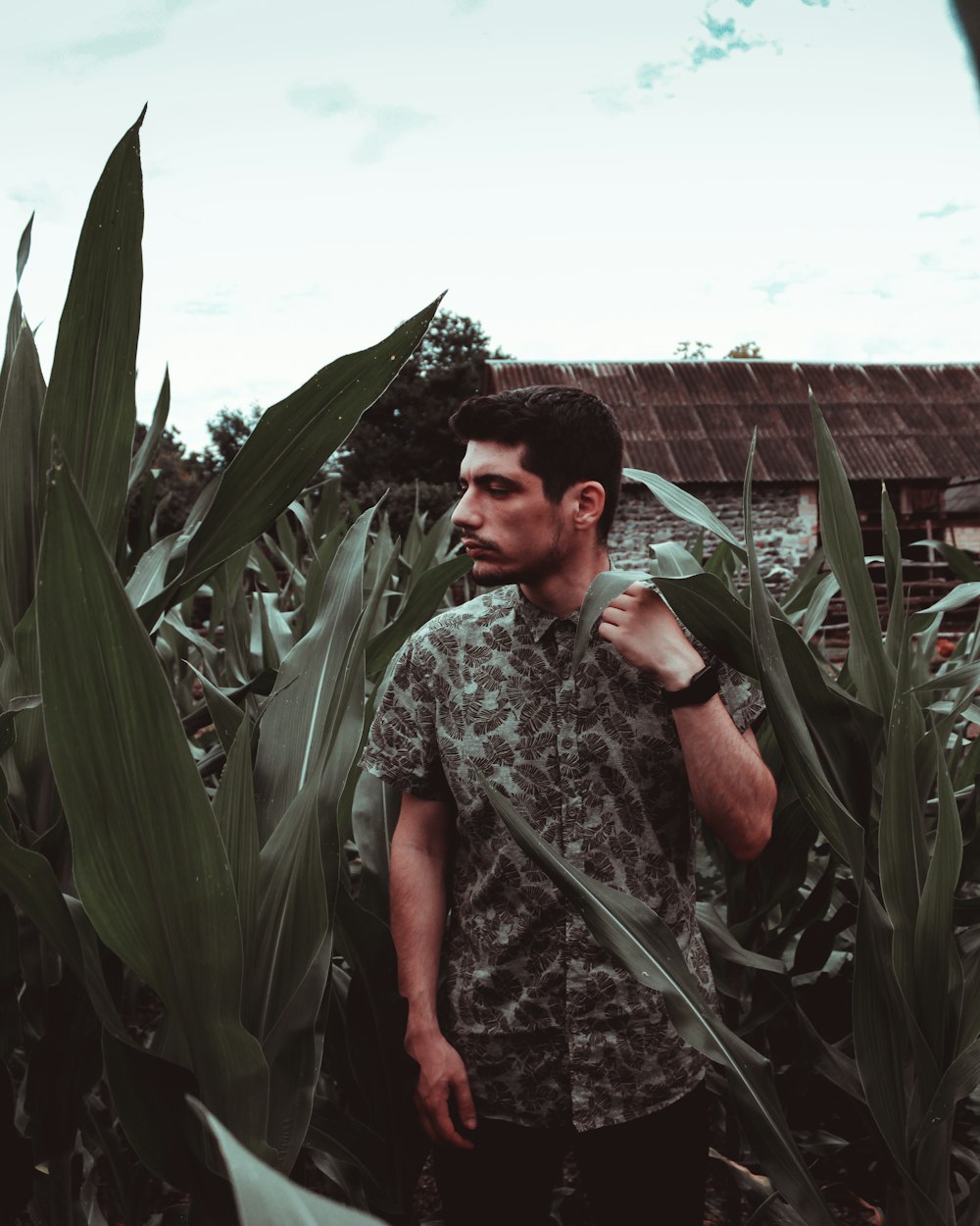 a man standing in a field of corn