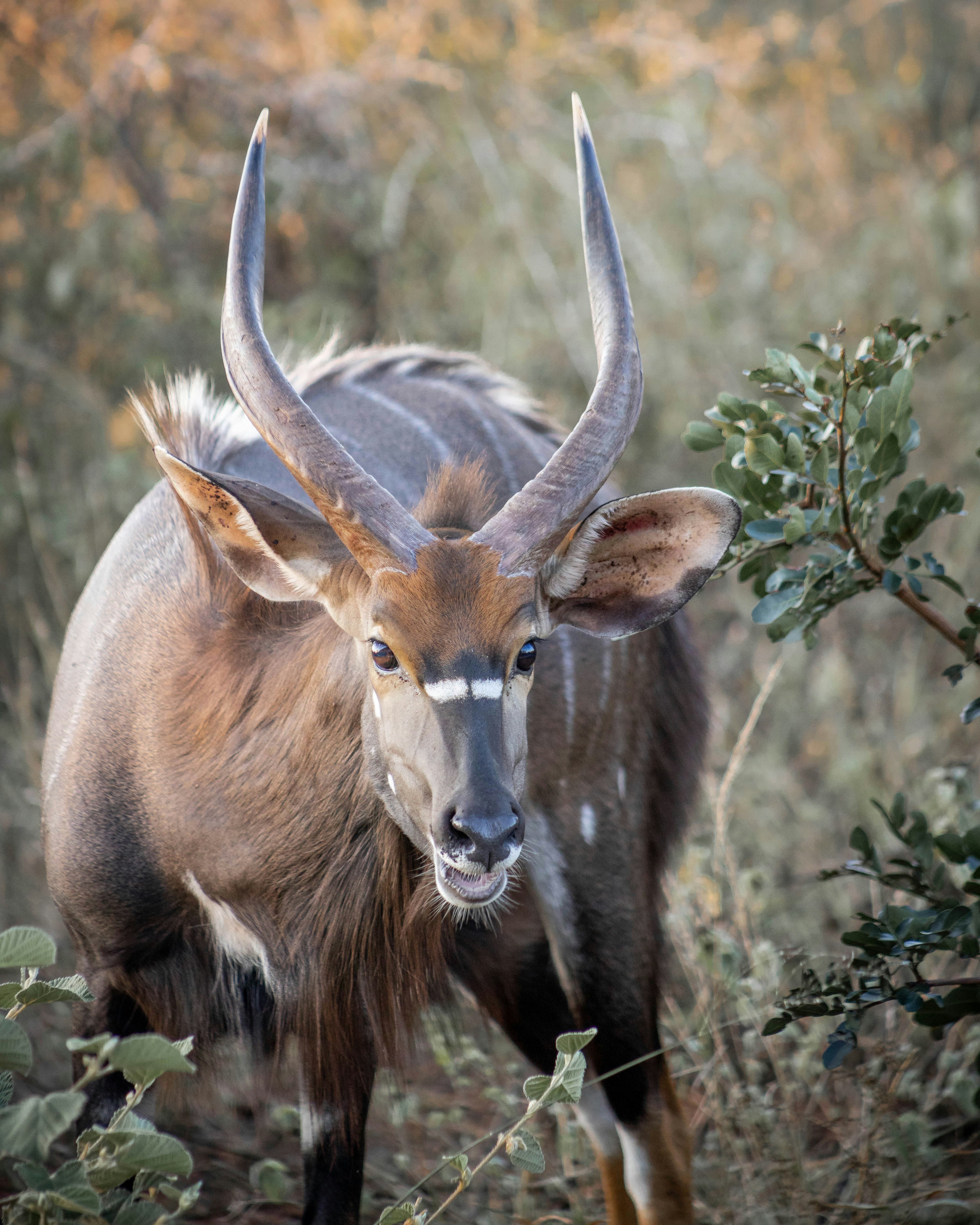 Photo by asherpardey