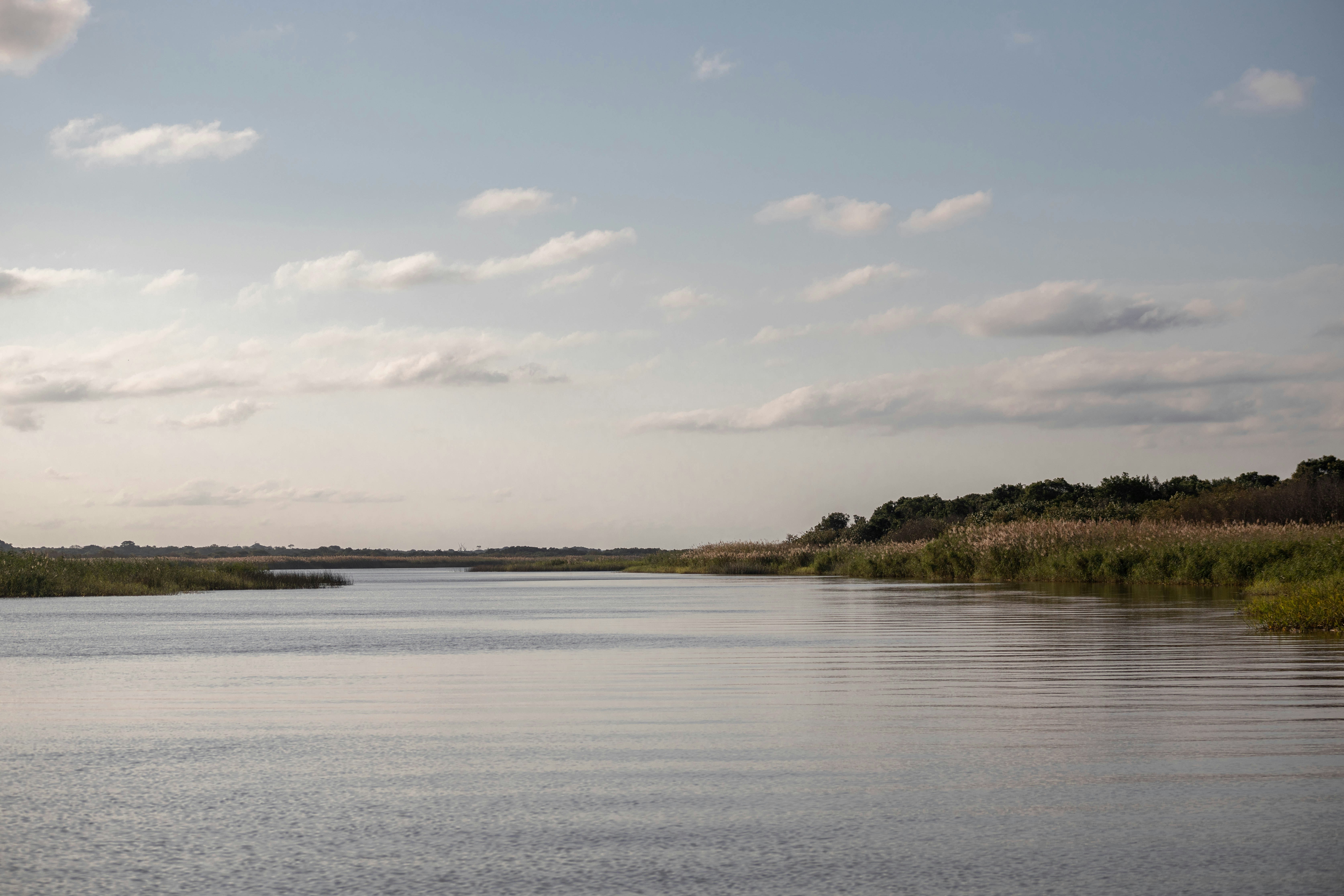 Photo by asherpardey