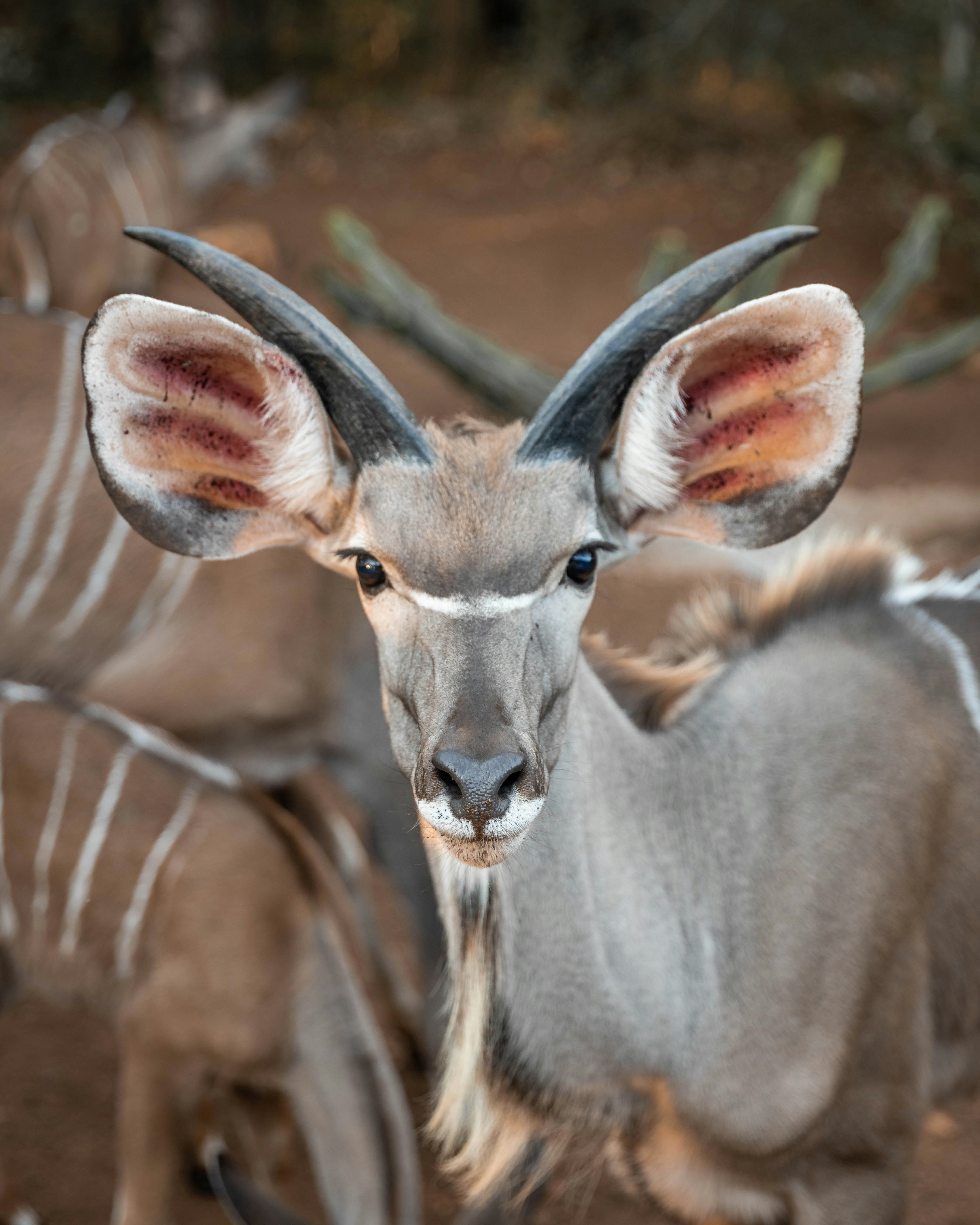 Photo by asherpardey