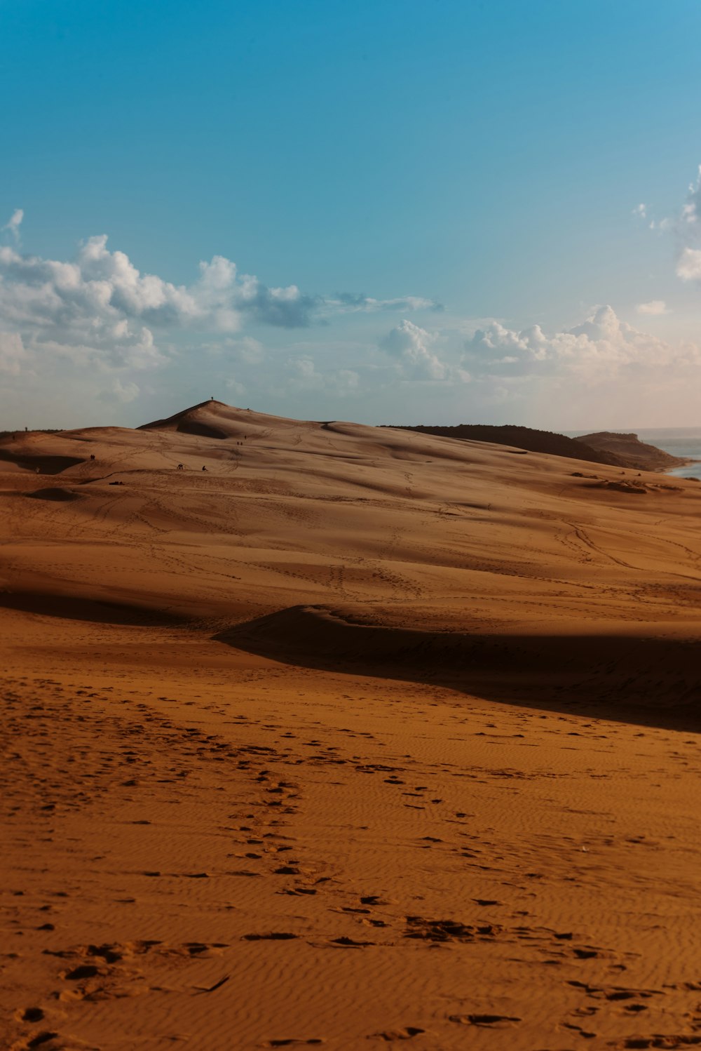 a person walking across a sandy beach next to the ocean