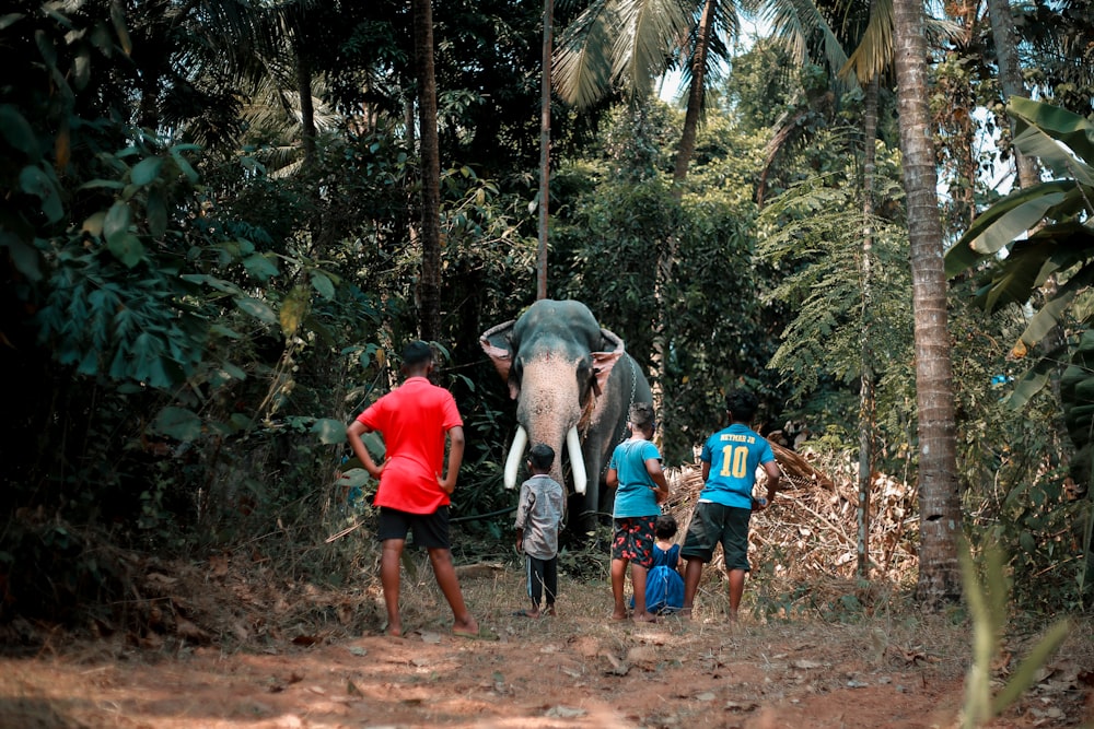 a group of people standing around an elephant