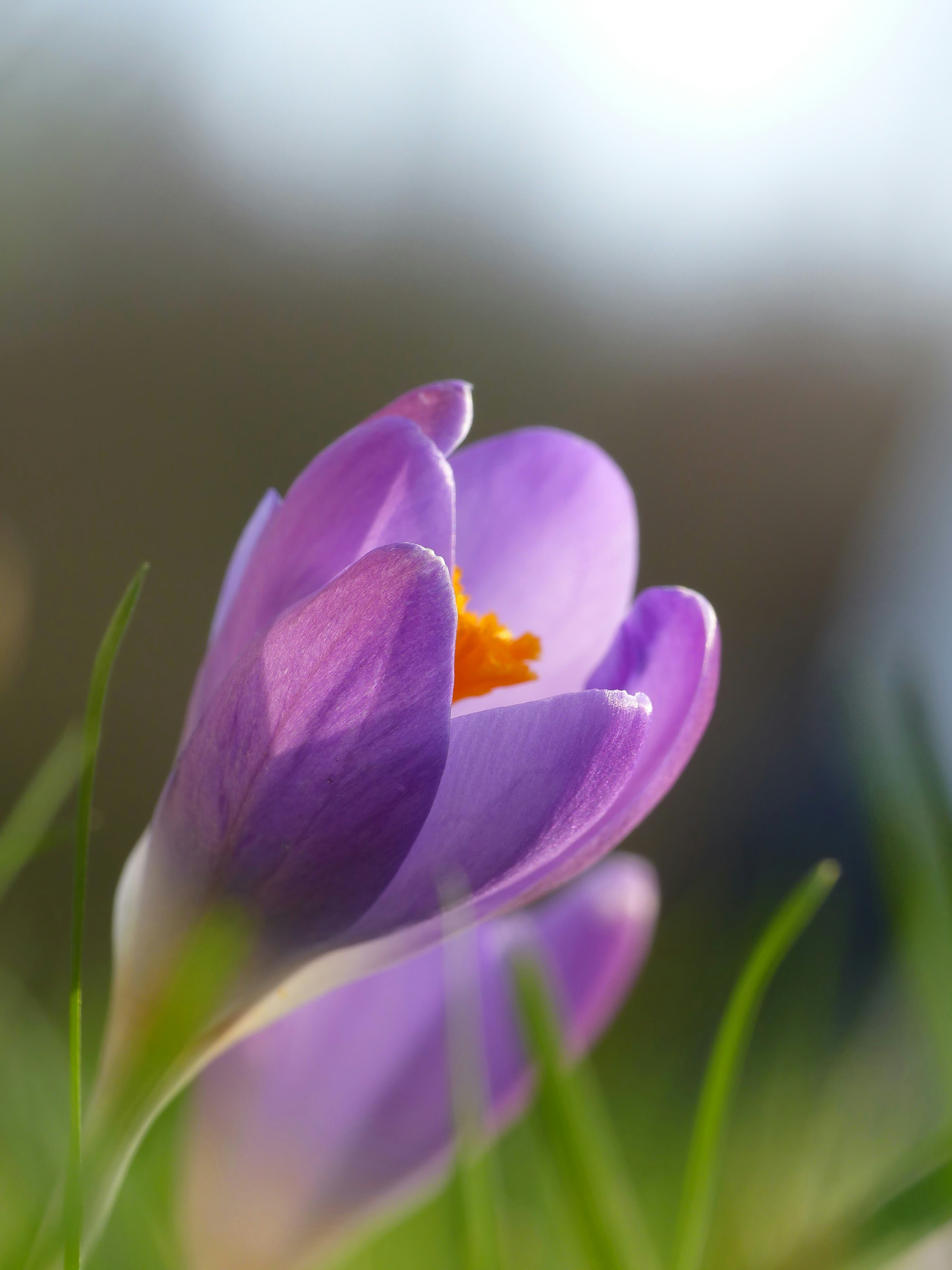 Photo by j_blueberry