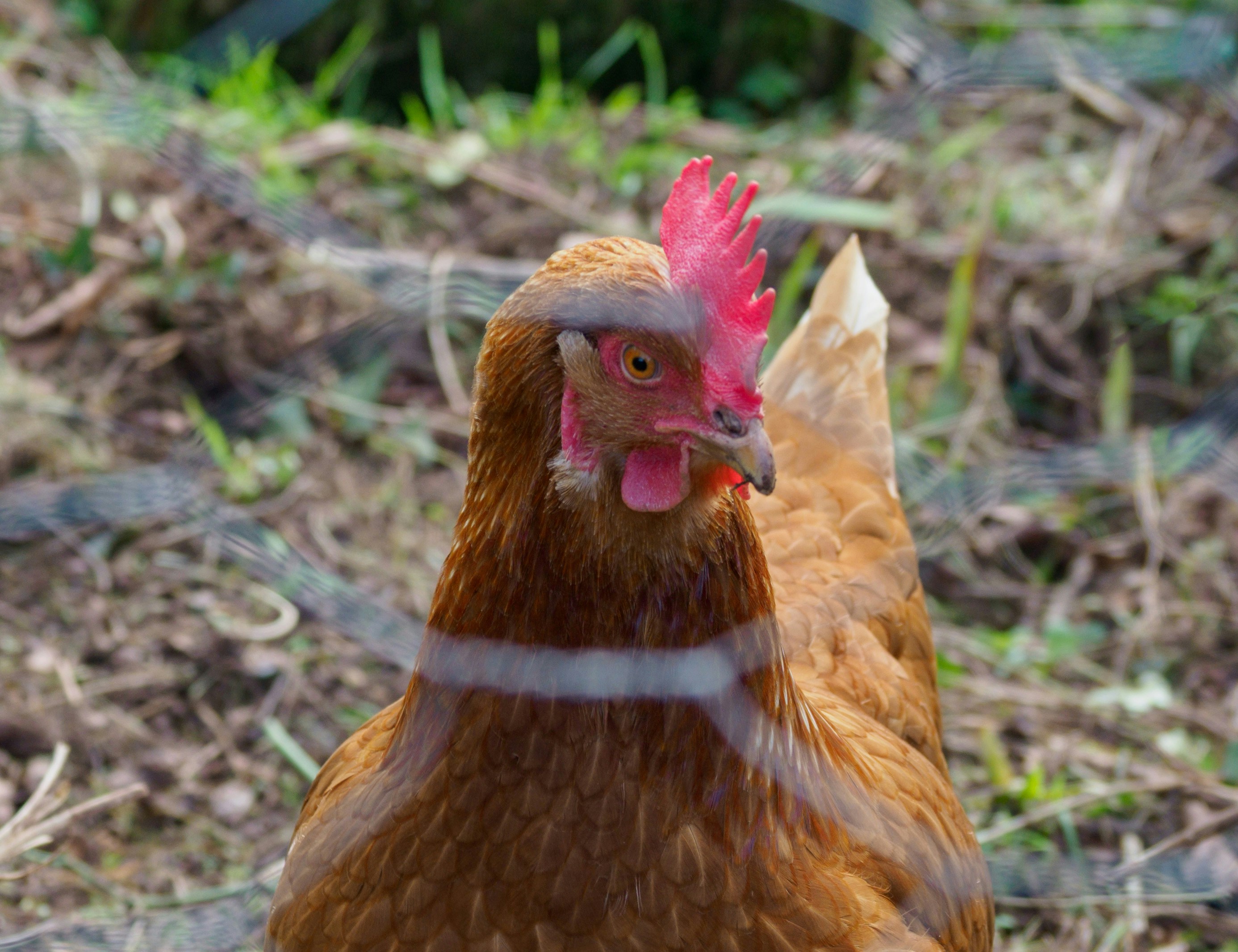 Photo by brett_jordan