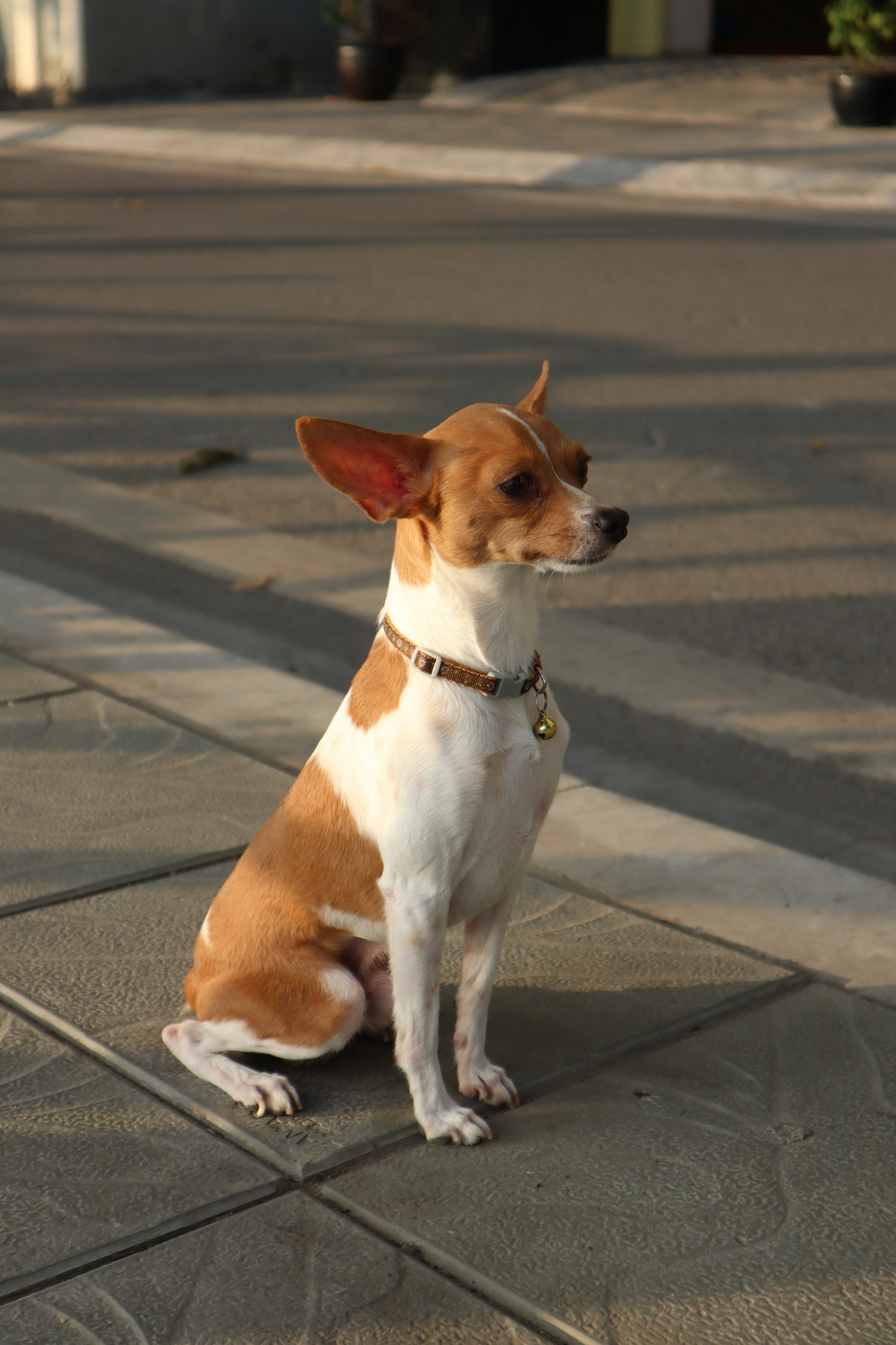 Photo by hoangkhanh199