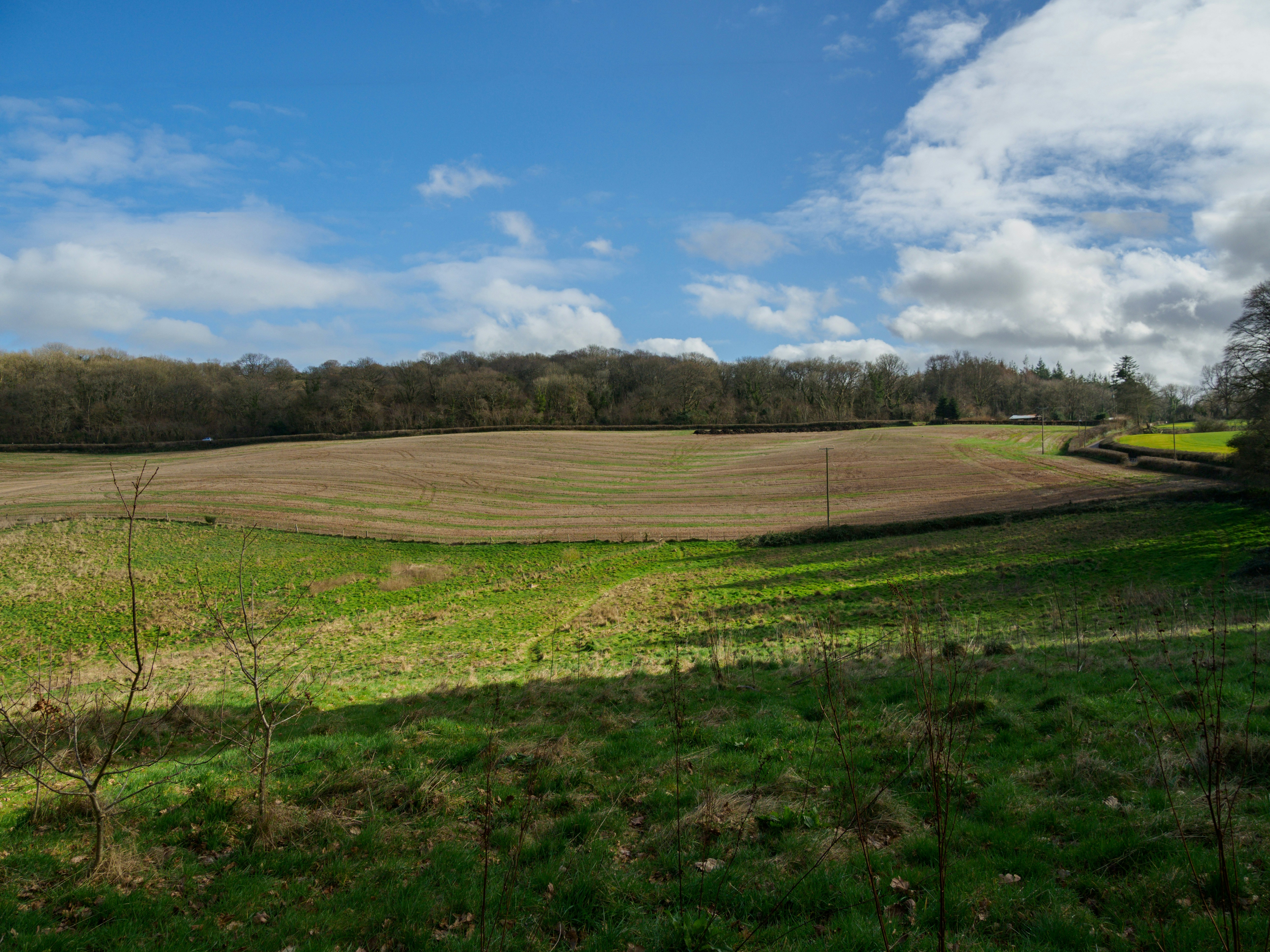 Photo by brett_jordan