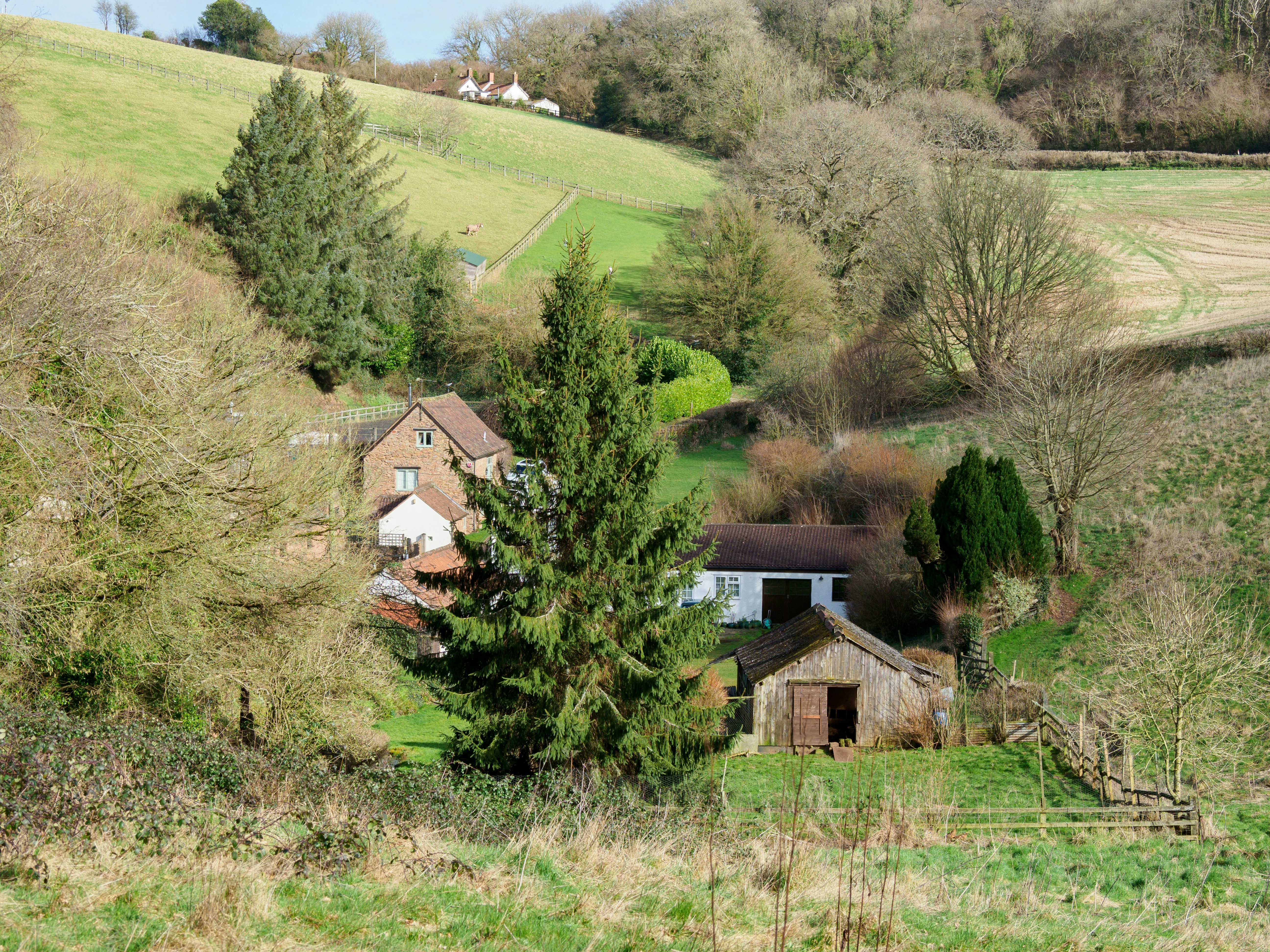 Photo by brett_jordan