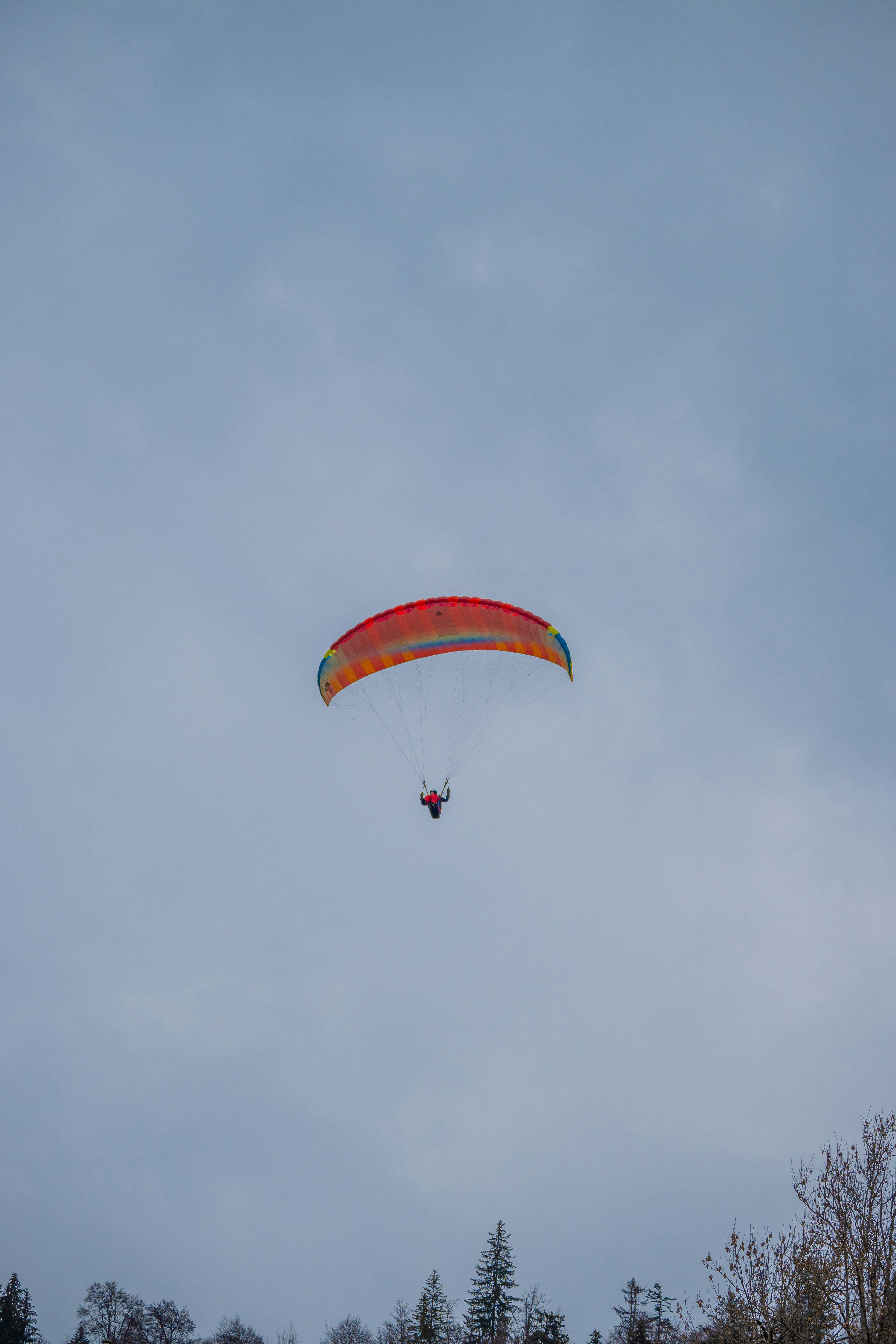 Photo by melanieweidmann_photography