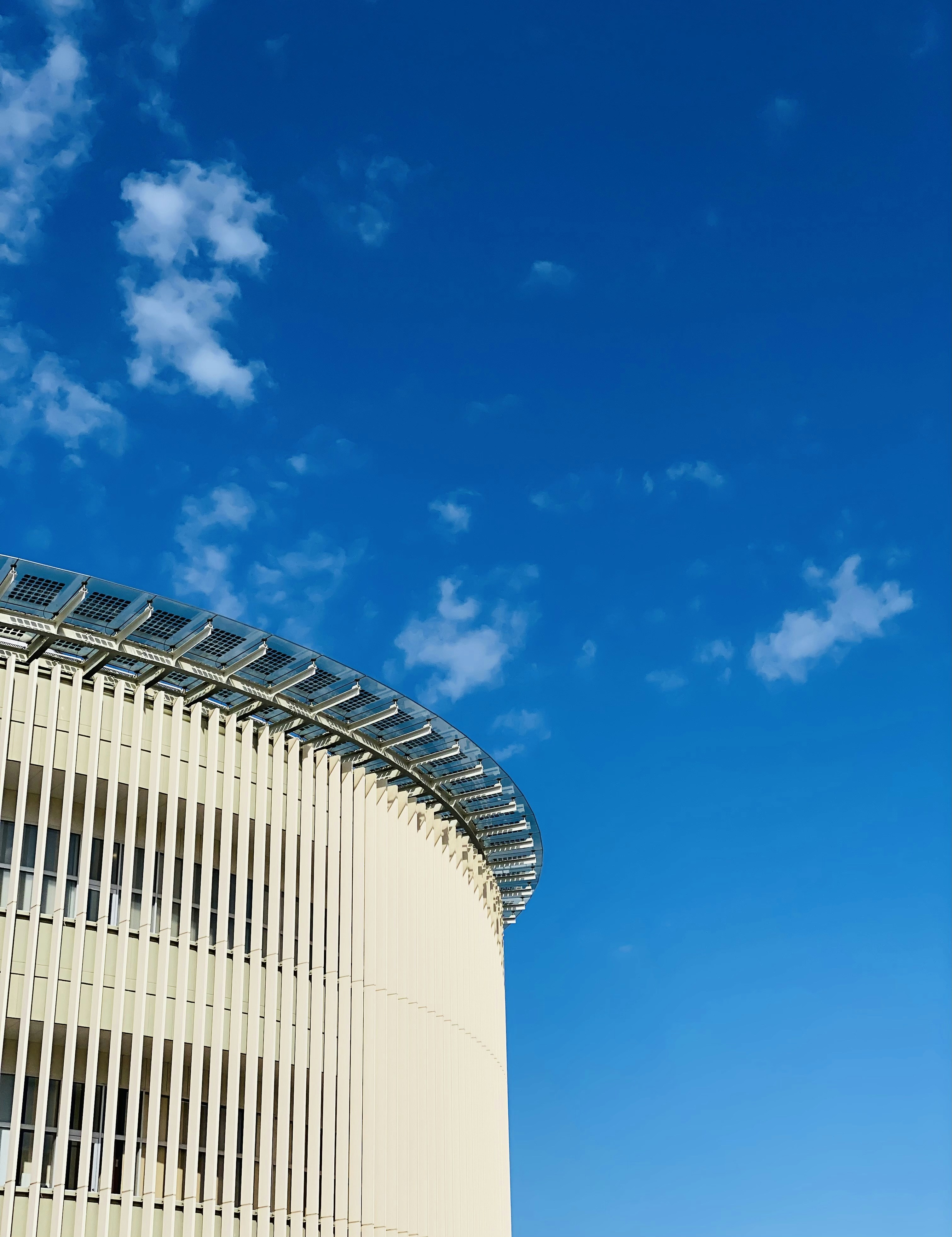 Photo by hiromasa_koga