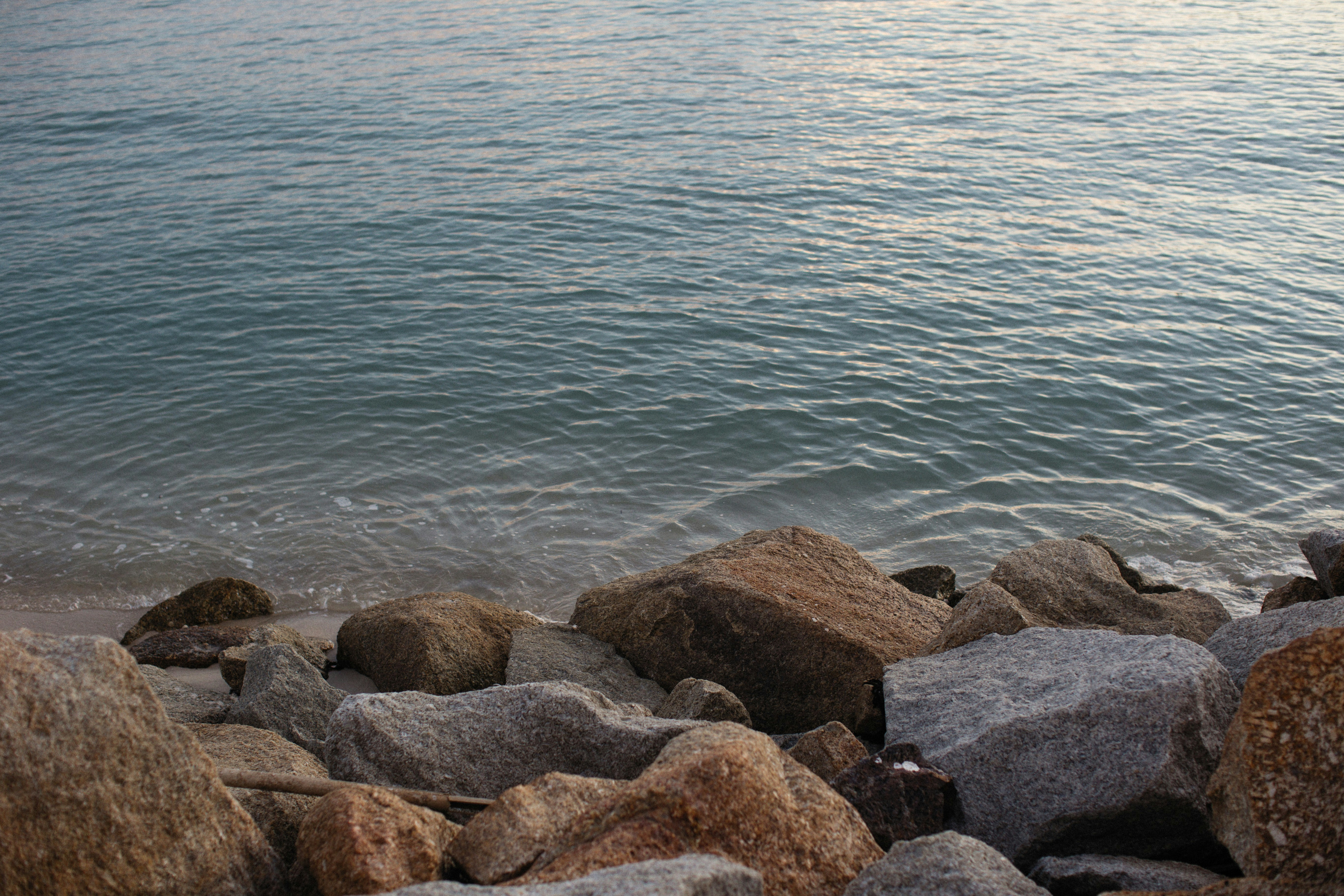 Photo by alexeydemidov