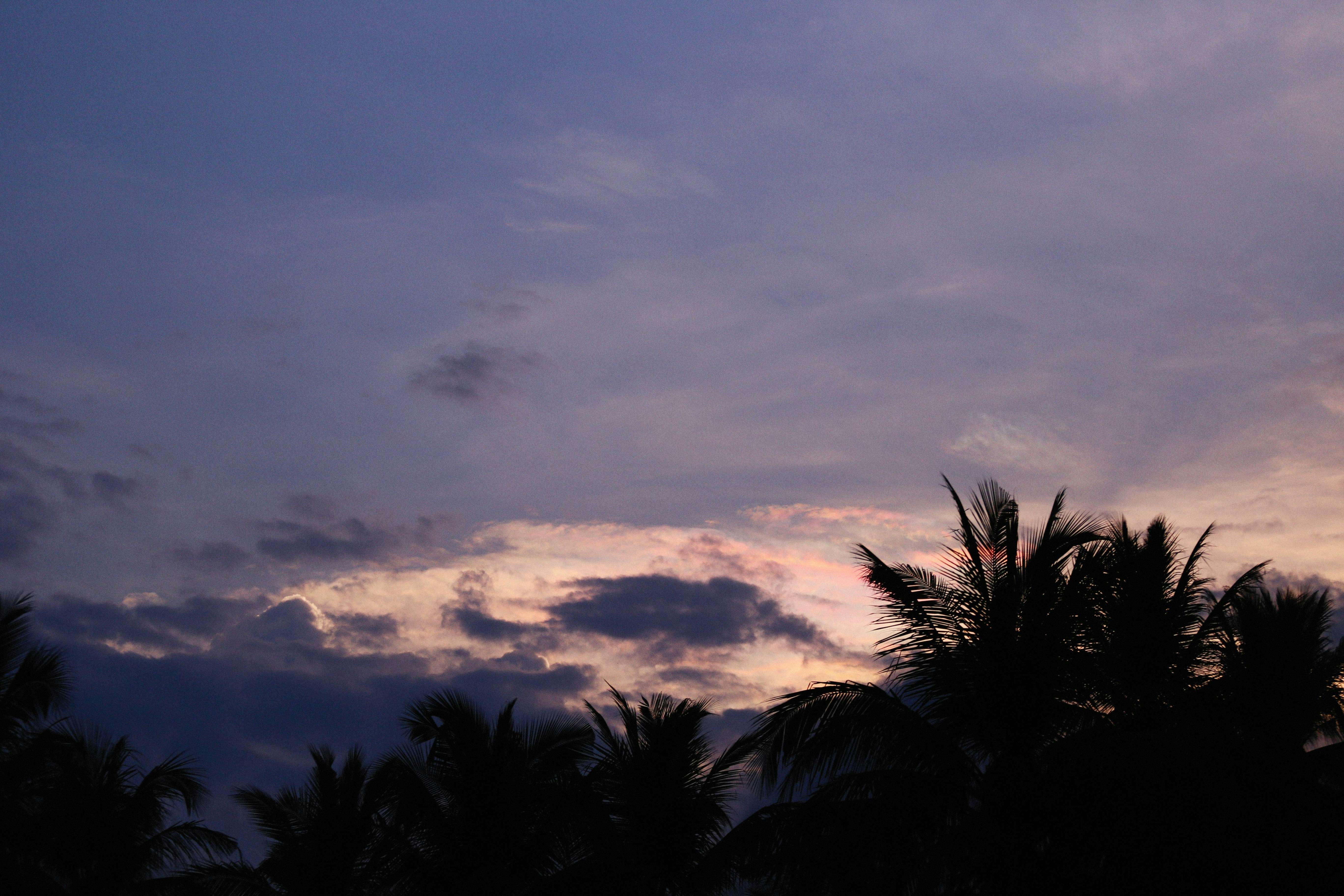 a view of a sky with clouds and palm trees