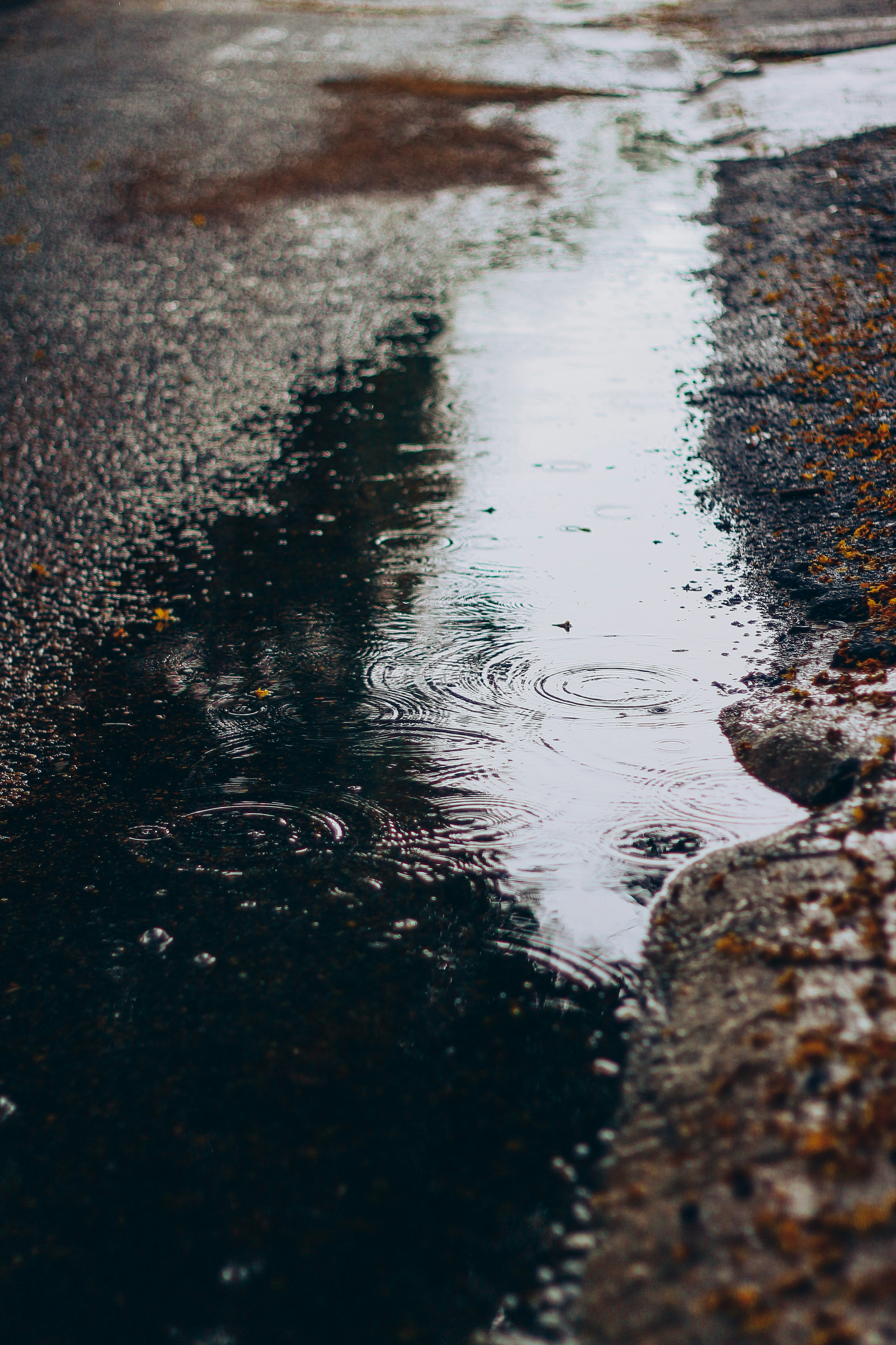 Photo by 1min_equals_to_60secs