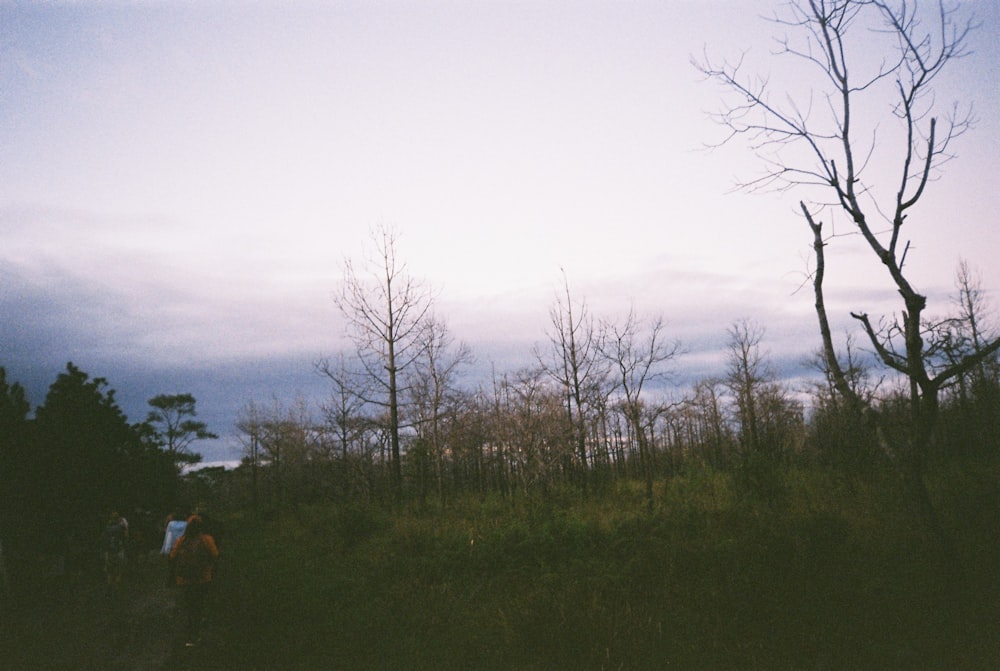 a group of people walking through a forest