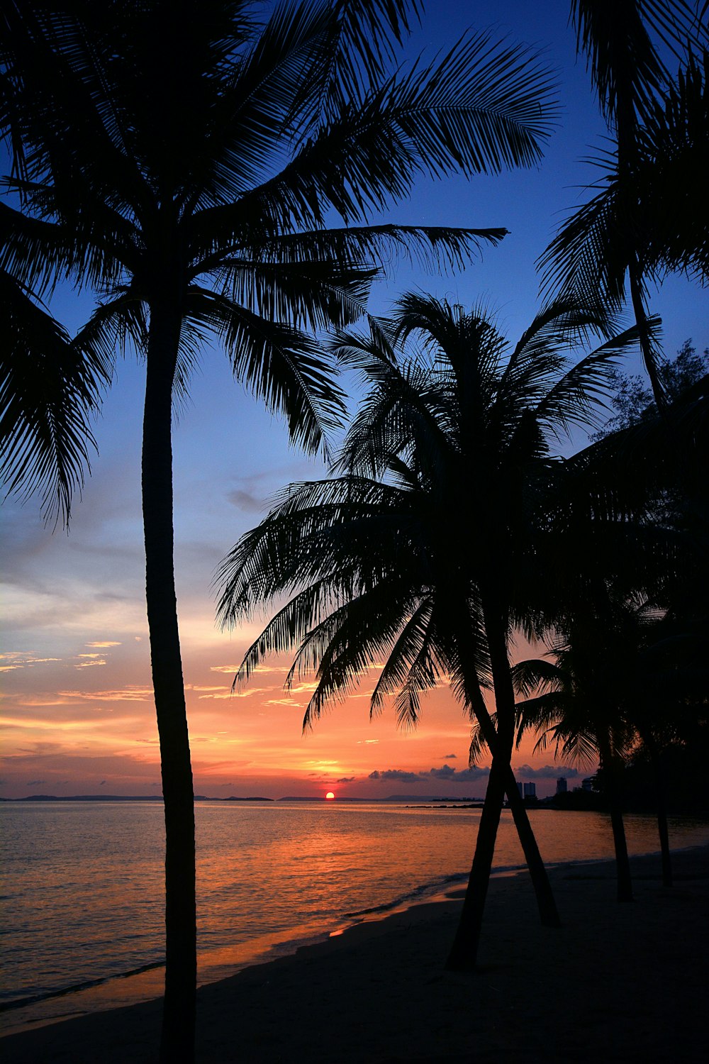 a sunset on a tropical beach with palm trees