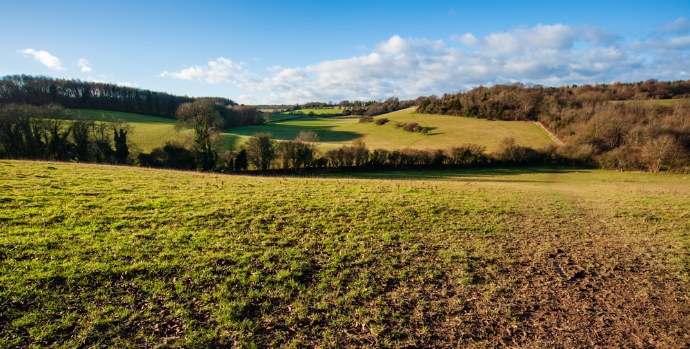 a grassy field with trees and a hill in the background