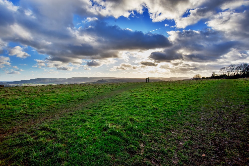 a person standing in a field under a cloudy sky