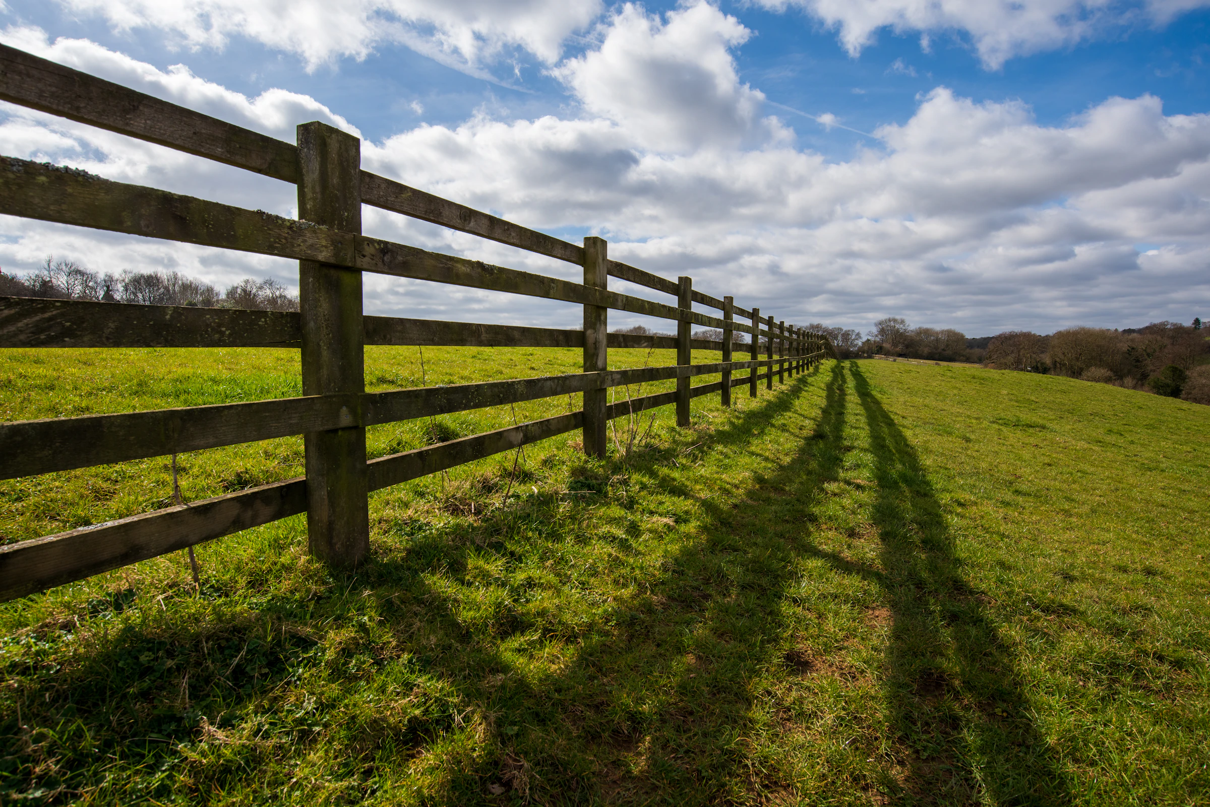 A long timber rail fence running to the horizon across an open green field