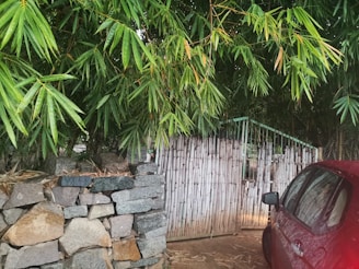 A lush cluster of bamboo leaves hangs over a bamboo gate, adjacent to a stone wall. The scene includes a red car parked nearby with its side partially visible, creating a tranquil, nature-infused setting.