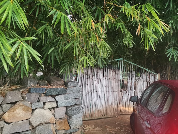 A lush cluster of bamboo leaves hangs over a bamboo gate, adjacent to a stone wall. The scene includes a red car parked nearby with its side partially visible, creating a tranquil, nature-infused setting.