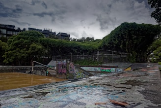 A skate park with vibrant graffiti-covered ramps and rails, surrounded by lush green trees and vegetation. The sky is overcast, creating a moody atmosphere. The ground appears wet, possibly after rain, with some puddles reflecting the light.