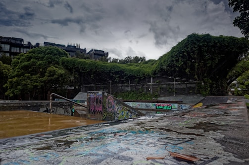 A skate park with vibrant graffiti-covered ramps and rails, surrounded by lush green trees and vegetation. The sky is overcast, creating a moody atmosphere. The ground appears wet, possibly after rain, with some puddles reflecting the light.