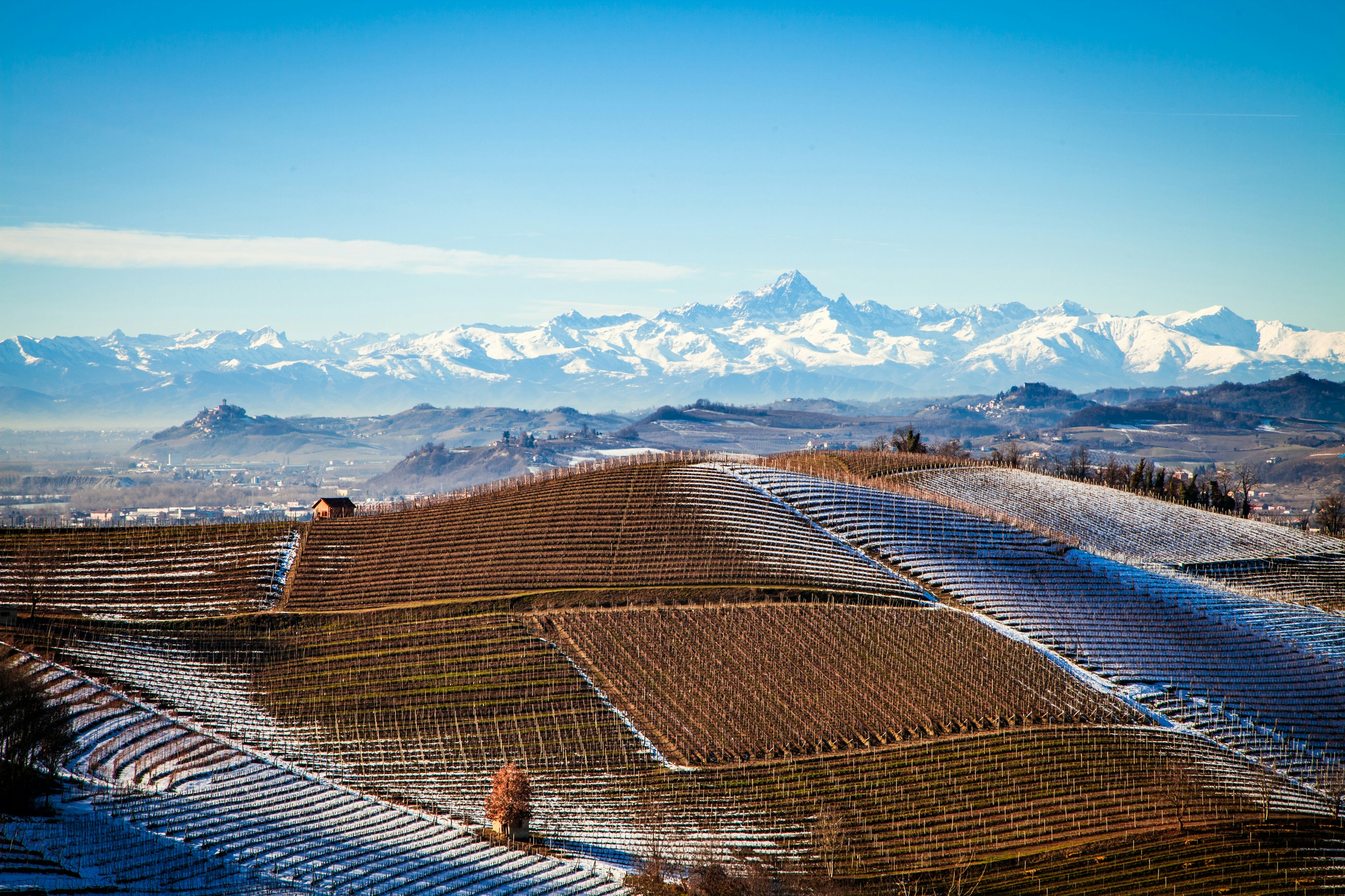 Winter landscape of the Nebbiolo vineyards close to Barbaresco in Piedmont, home of the famous Barbaresco wine. In the background is Monviso mountain (3,841m above sea level peak)