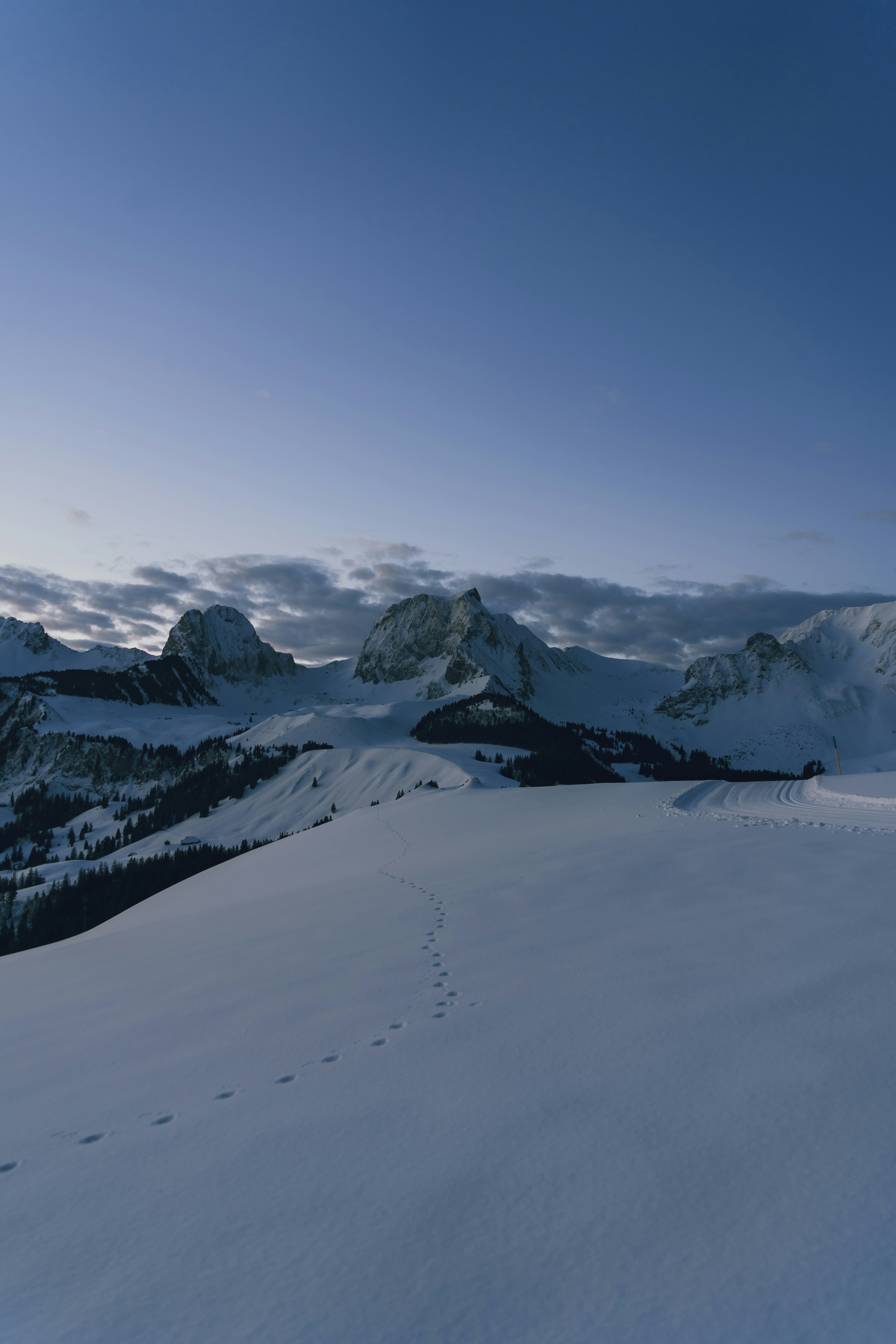 Photo by benaja_photos