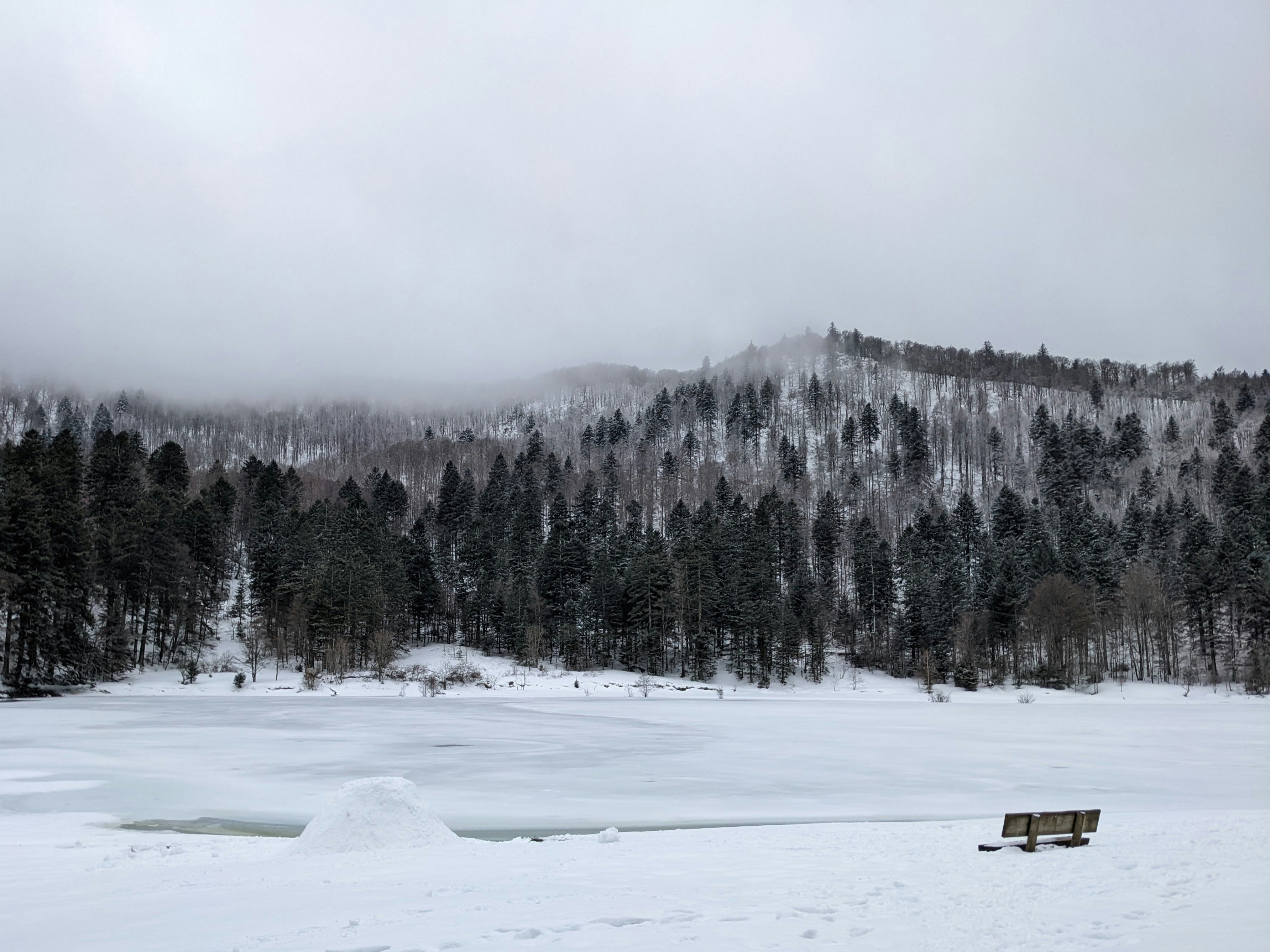 un champ enneigé avec un banc au premier plan