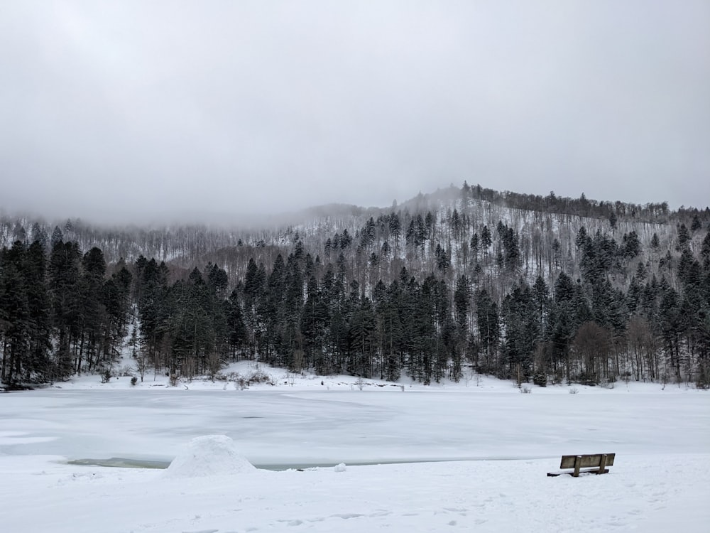 a snow covered field with a bench in the foreground