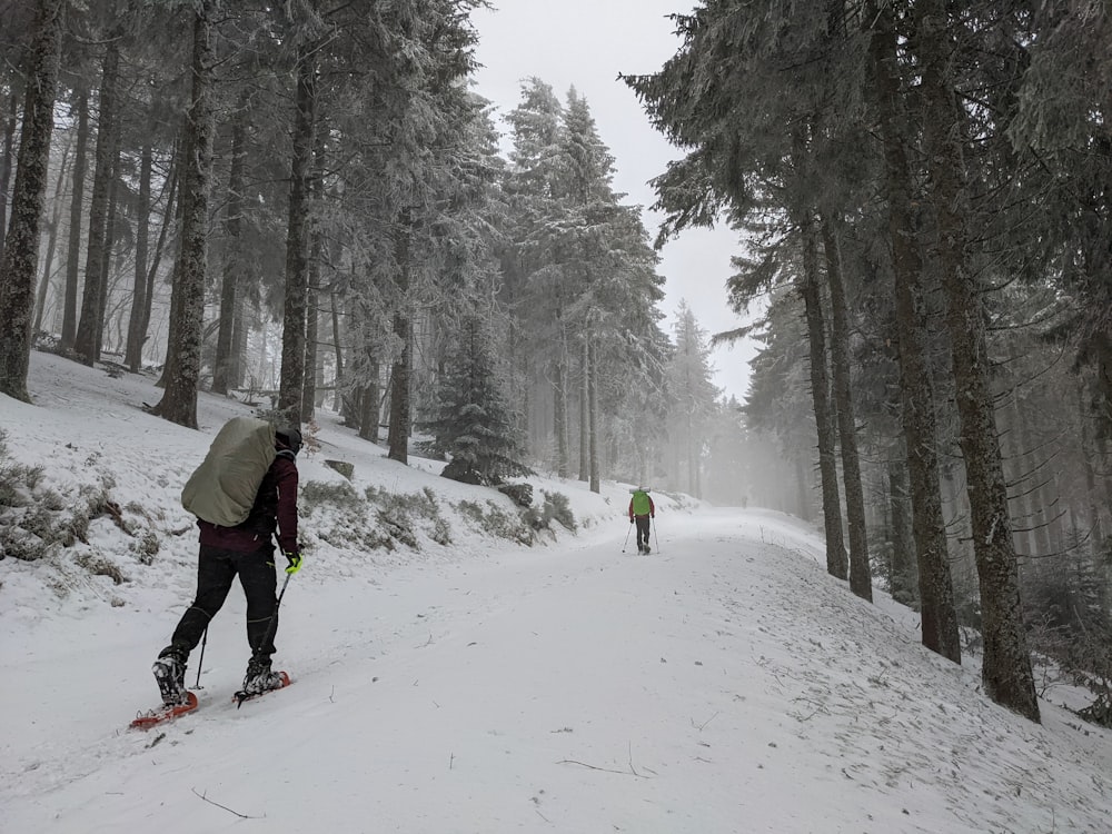 two people cross country skiing on a snowy trail