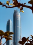 two tall skyscrapers in the middle of a tree