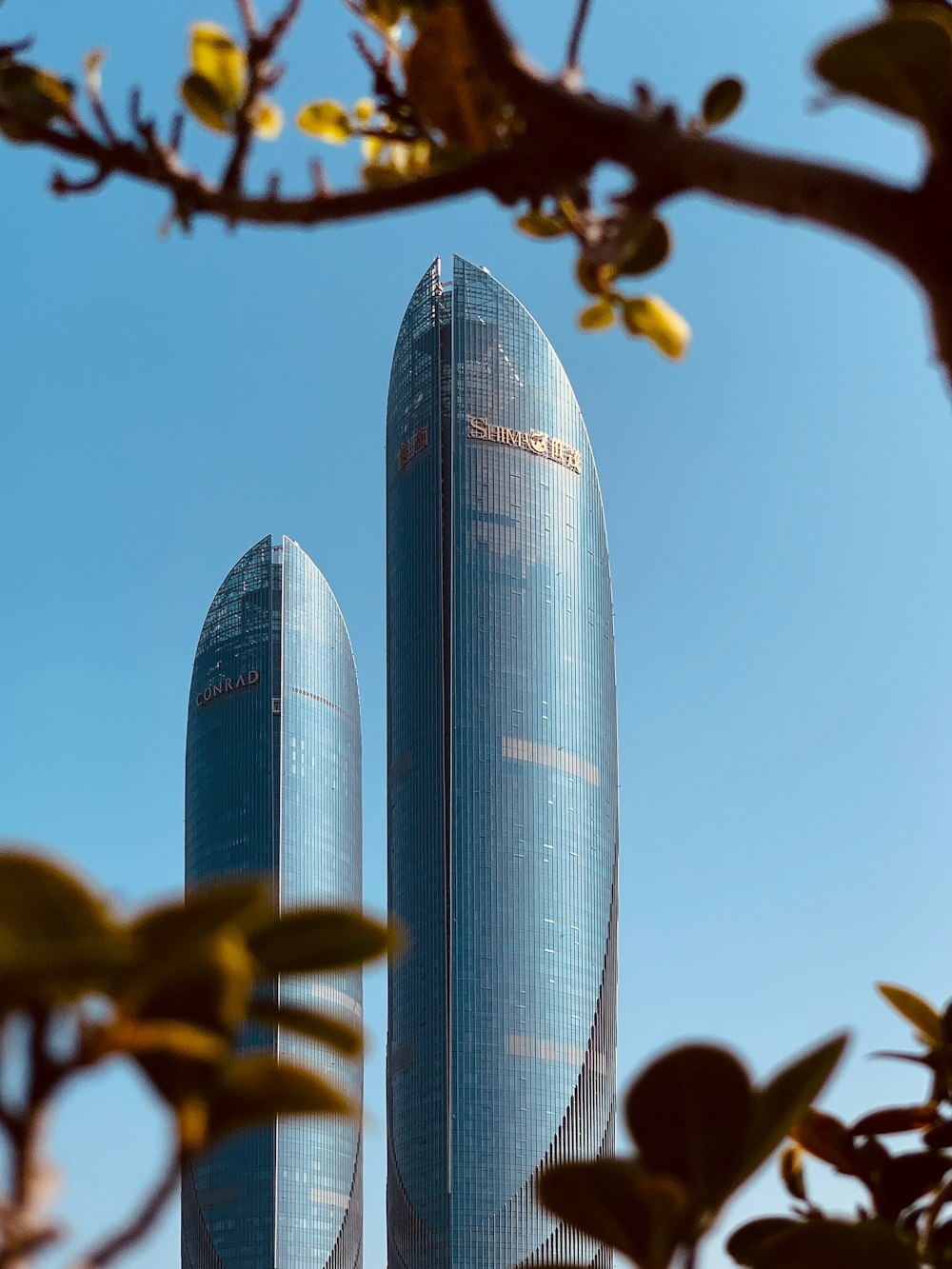 two tall skyscrapers in the middle of a tree