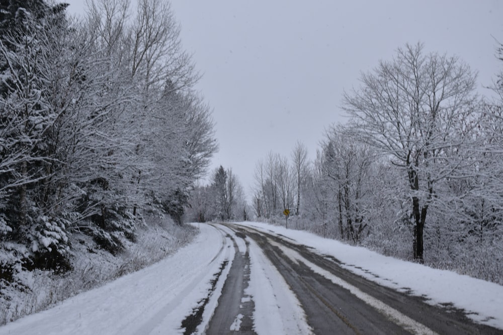 Un camino cubierto de nieve con árboles a ambos lados