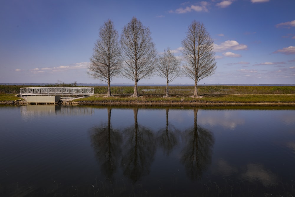 Un ponte su uno specchio d'acqua con alberi sullo sfondo