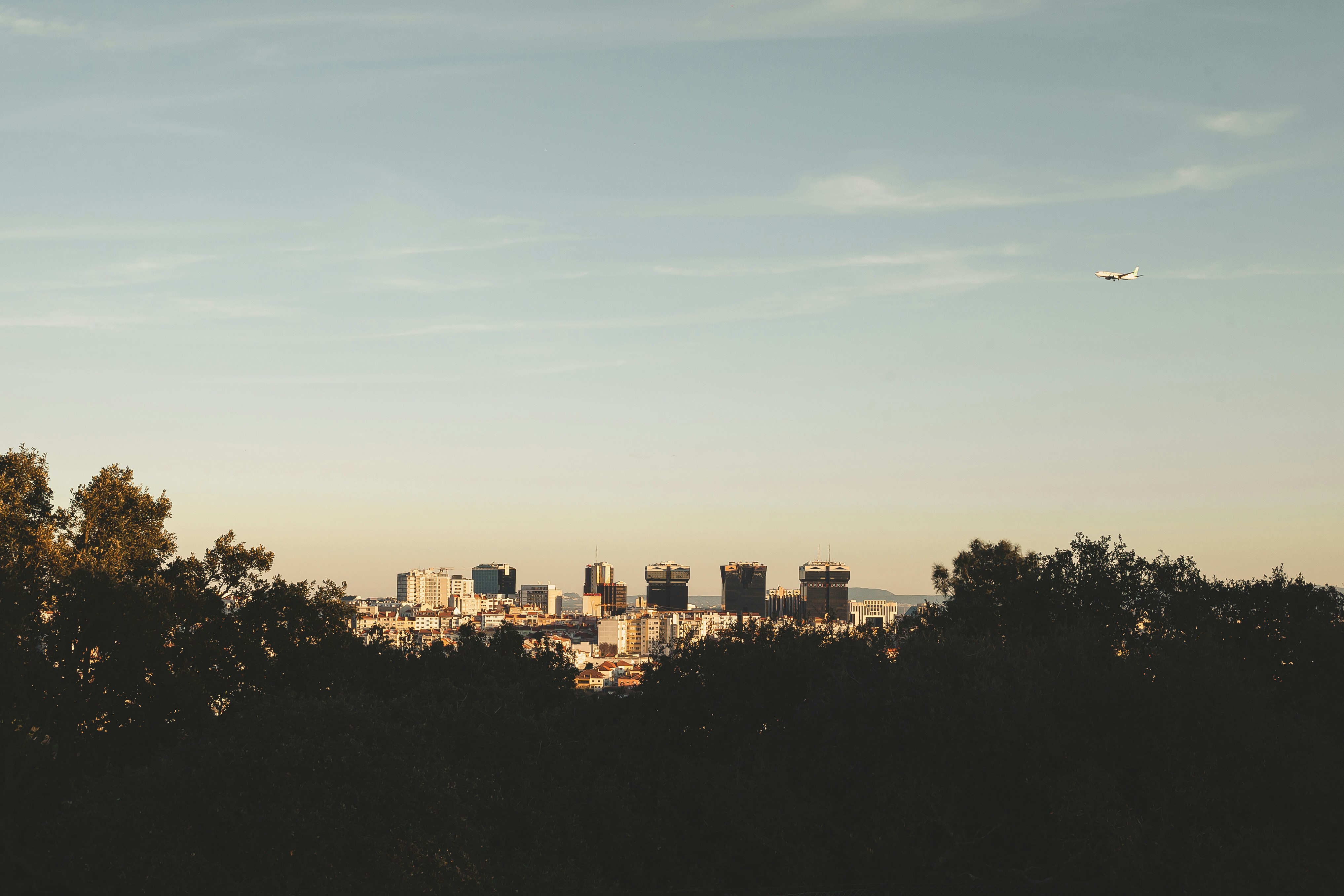 Unveiling the Monsanto Pesticide Lawsuit Legal Insights