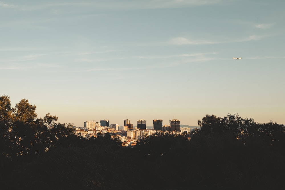 a plane flying over a city with trees